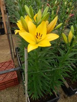 [5691 DJ LZ-02 No01.JPG]